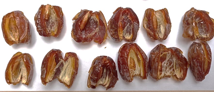 <font style="vertical-align: inherit;"><font style="vertical-align: inherit;">medjool dates open</font></font> <font style="vertical-align: inherit;"><font style="vertical-align: inherit;">Many medjoul dates cut open</font></font>