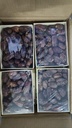 Organic Medjoul Dates Choice 12x1kg [SA]