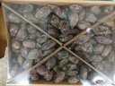 Medjoul Dates Fancy 5kg [IL] 